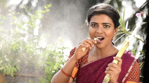 కౌసల్య కృష్ణమూర్తి Bild 3