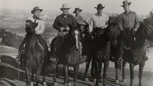 Fliegende Hufe Bild 1