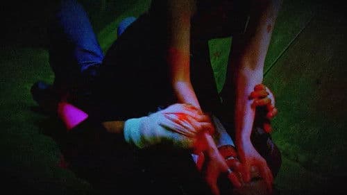 Trapped In Sight Bild 2