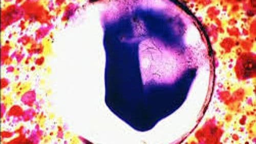 … ere erera baleibu izik subua aruaren… Bild 2