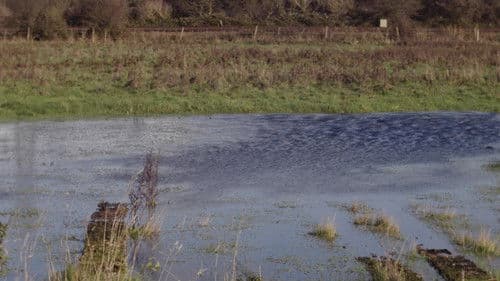 Alternate Spaces Bild 4