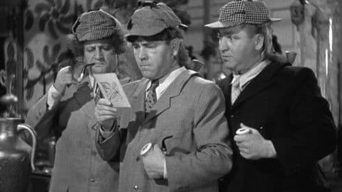 We Want Our Mummy Bild 2