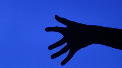 Dilemas de uma Mudança Bild 1