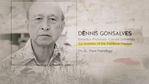 Food Evolution Bild 8