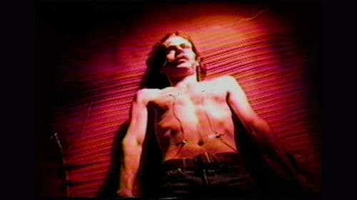 The Case of the Missing Consciousness Bild 1