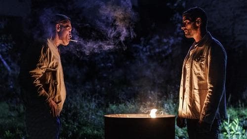 Tiger und Hyänen Bild 1