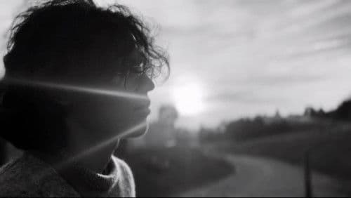 2 Hours of Daylight Bild 1