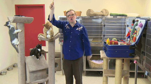 Kitty of the Week Bild 1