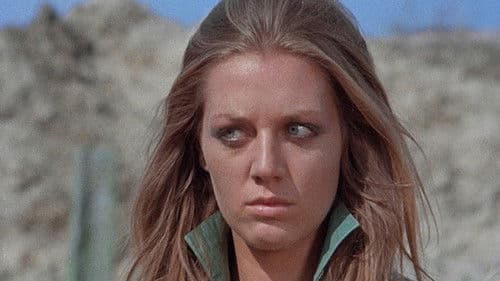 Prega Dio... e scavati la fossa! Bild 1