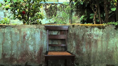 Os Dias com Ele Bild 1