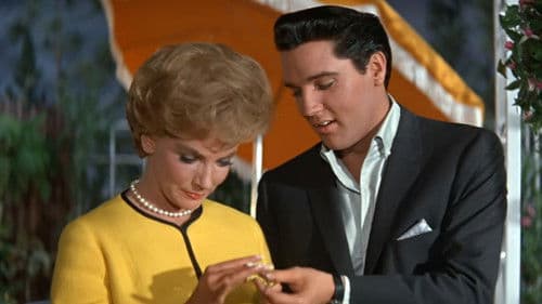 Ob blond, ob braun Bild 8