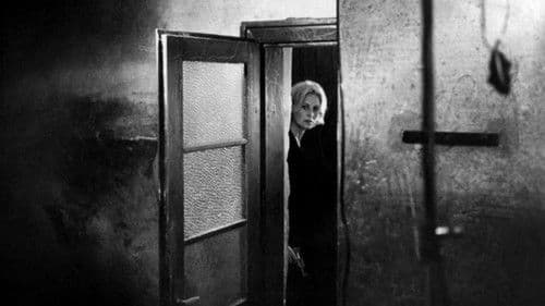 Das grausame Auge Bild 1