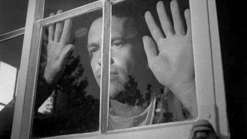 Private Property Bild 8