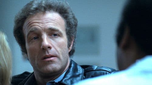 Der Einzelgänger Bild 3