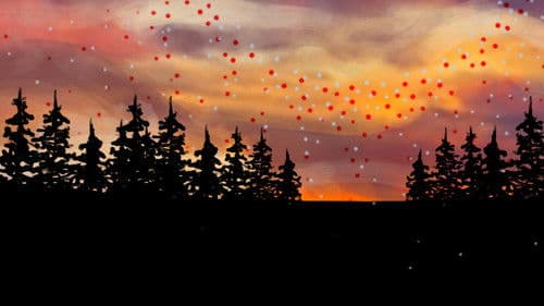 Telling Our Story Bild 1