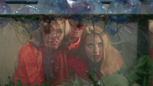 Sting of Death Bild 2