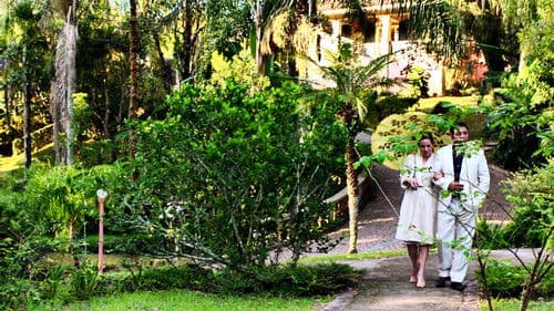 O Travesseiro de Penas Bild 4