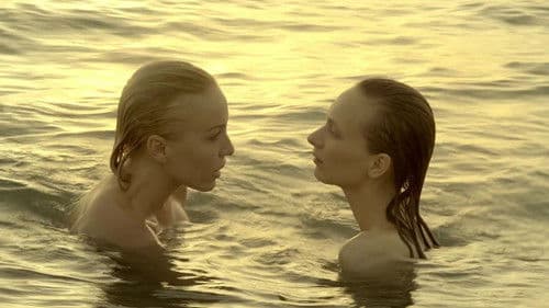 The Light Touch Bild 2