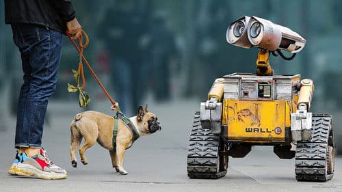 Pixar in Real Life Bild 7