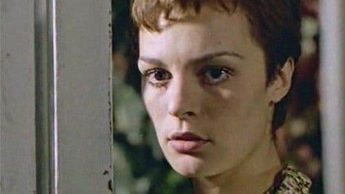 Kınalı Yapıncak Bild 1