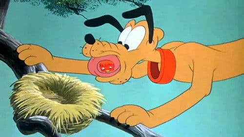 Pluto als Fluglehrer Bild 1