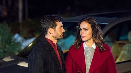 Der Klang der Schlittenglöckchen Bild 7