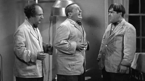 Ein Juwel einer Marmelade Bild 2