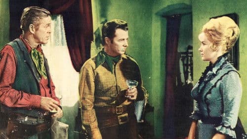 Sechs schwarze Pferde Bild 1