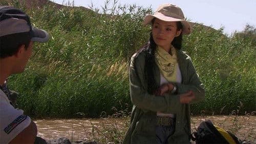 寻找阿依阔勒 Bild 1