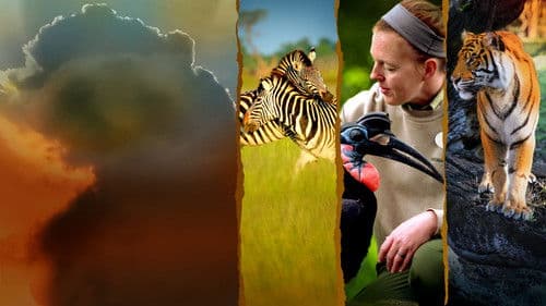 Die Magie von Disney's Animal Kingdom Bild 2