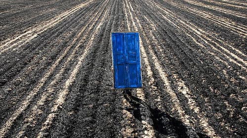 Das Lied der Sperlinge Bild 6