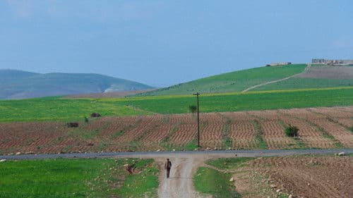 Yol - Der Weg Bild 5