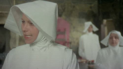 Die Nonne und das Biest Bild 8