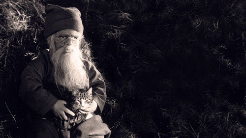 Tomten: En vintersaga Bild 1