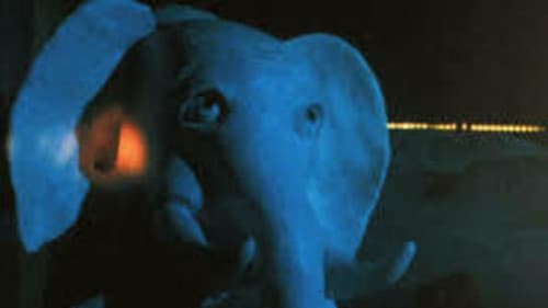 L'éléphant et la baleine Bild 4