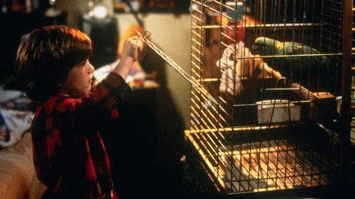 Wieder allein zu Haus Bild 6