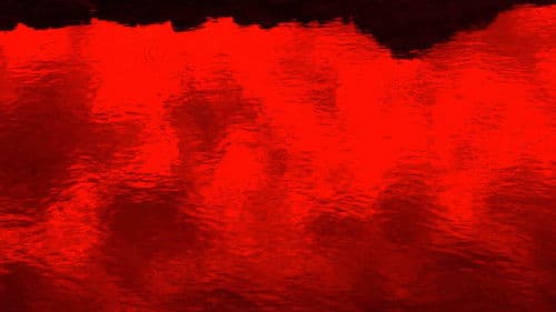 “레드필터가 철회됩니다.” Bild 1