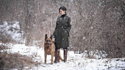 모피를 입은 비너스 Bild 1