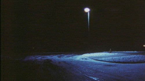 In Order Not to Be Here Bild 4