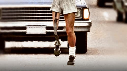 Into the Wind Bild 1