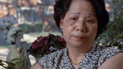 Who Killed Vincent Chin? Bild 1