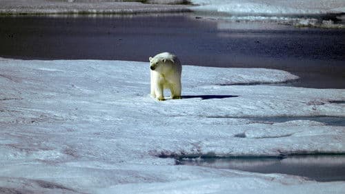 Kampf der Supermächte: Wer kontrolliert die Arktis? Bild 2