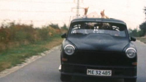 Sonny Soufflé chok show Bild 8