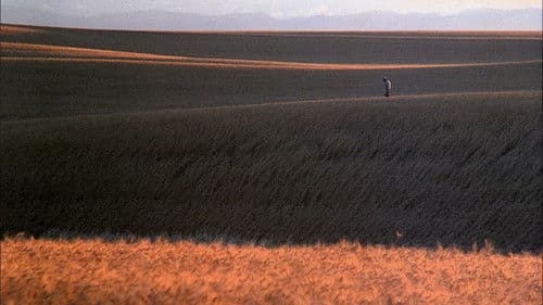 In der Glut des Südens Bild 4