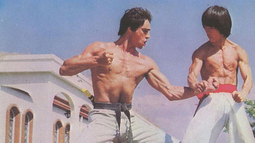 Bruce Le - Faust der Rache Bild 1