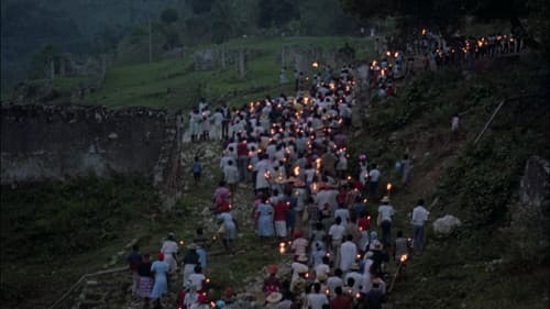 Die Schlange im Regenbogen Bild 2