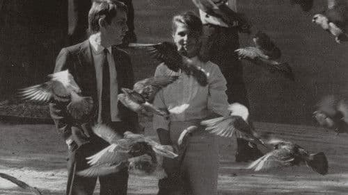 Todas as Mulheres do Mundo Bild 3