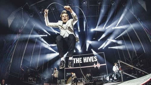 The Hives: Tick Tick Boom! Bild 1
