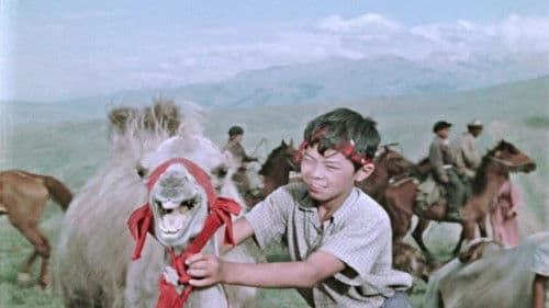 Менін атым Кожа Bild 4