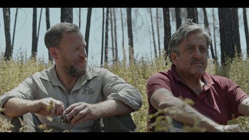 סוקצסיה Bild 6